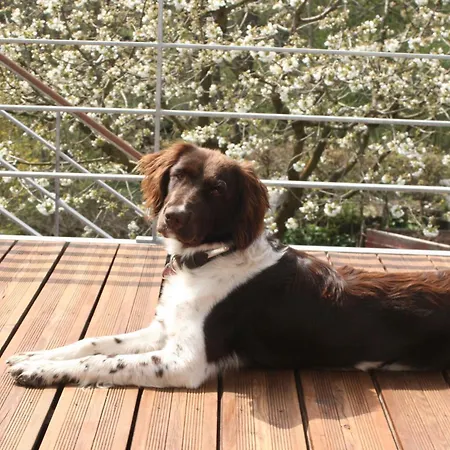 Grete By Interhome Erfurt